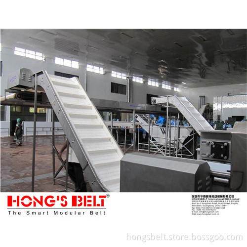 The Z Type Food Grade Modular Belt (HS-100A)